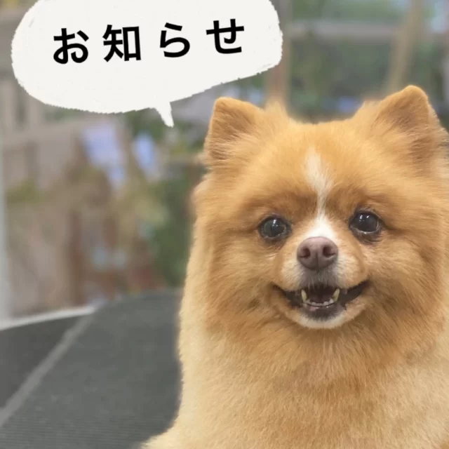 価格改定のお知らせ いつもCub&hellip;