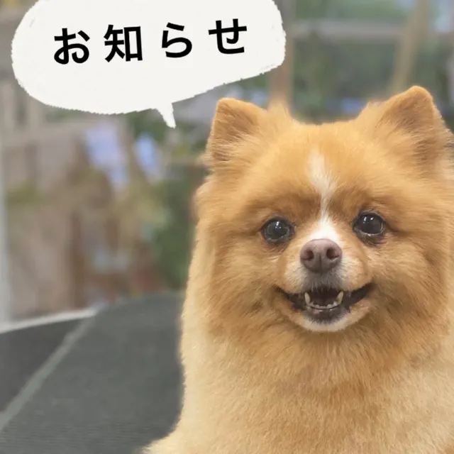 価格改定のお知らせ いつもCub…